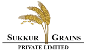 305567051_463470229129271_7354392396338447919_n_1